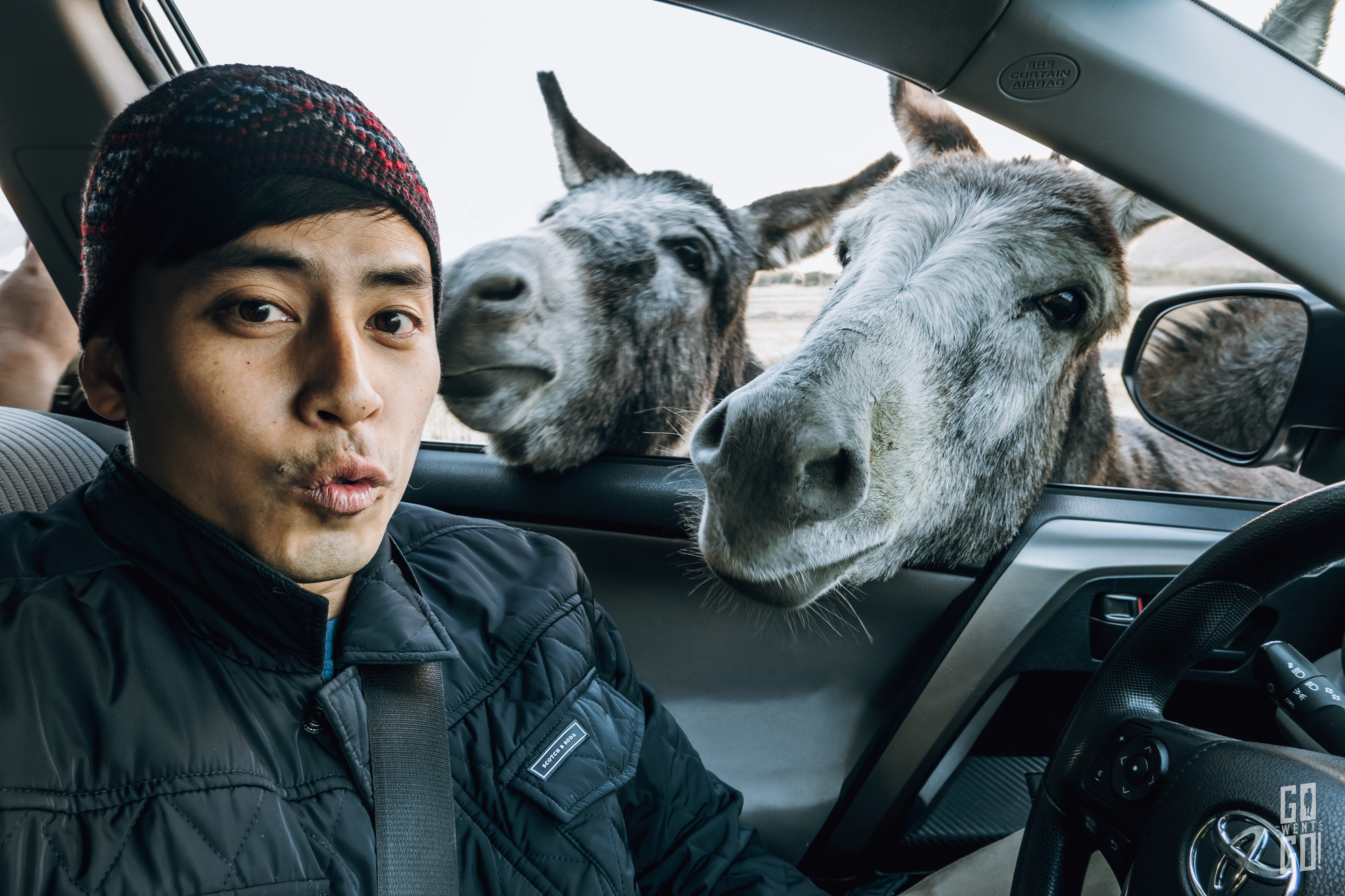 Go Went go : เที่ยวเว้นเที่ยว